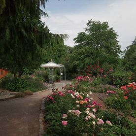 Planungs- und Beratungsbüro für naturnahe Gärten Galerie Bild22
